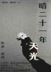 类似暗二十一年天光的校园小说